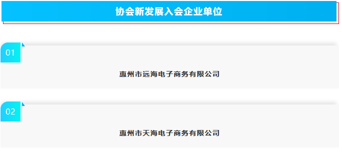  惠州市跨境电子商务行业协会第一季度工作简报 (图19)