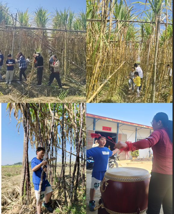 春风送暖助农忙 甜蜜同行践初心——协会组织会员企业开展三月学雷锋春风活动(图2) 295f2d6c-f2d7-4f92-8c10-89c6e39451e3.png