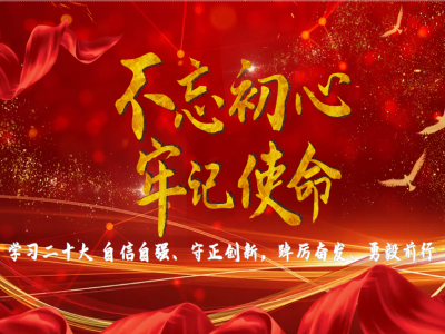 【学习二十大,建功新时代】中共惠州市跨境电子商务行业协会党支部全员学习二十大报告中的新表述新概括新论断