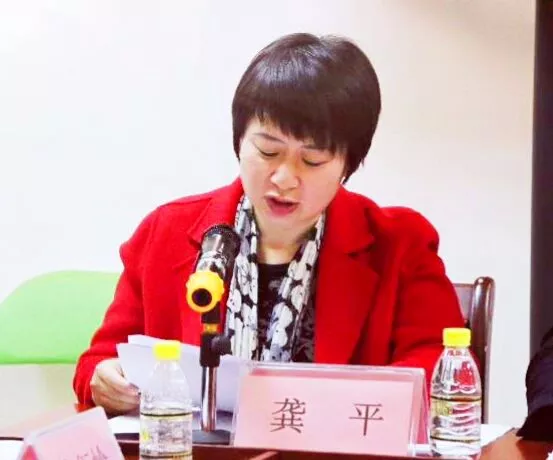  2017年度社会组织党组织书记述职评议会召开，协会党支部书记、秘书长龚平现场述职 (图2)